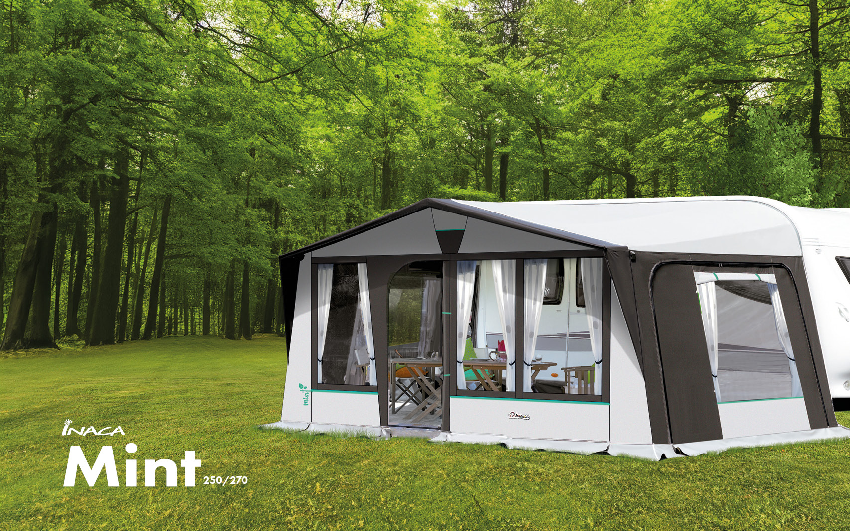 Mint 250/270 - Imagen 1